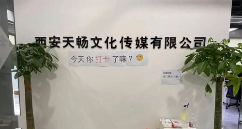 政策服務雙管齊下，數字文創賦能未來 曲江369園區助力企業紓困發展